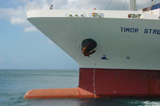 Timor Stream