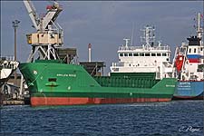 ARKLOW ROGUE