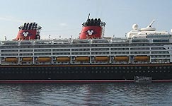 DISNEY MAGIC