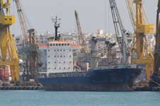 EVDOXIA CARMELA