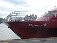 FLYINGCAT 6