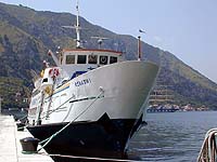 RENATA I