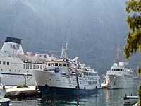 RENATA I & LADY K II