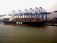 MSC CHICAGO