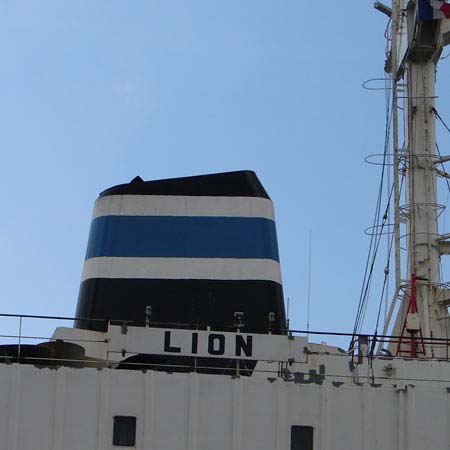 Lion