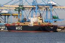 MSC SERENA