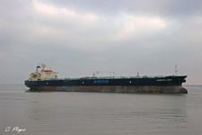 Minerva Libra