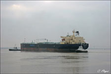 Minerva Libra