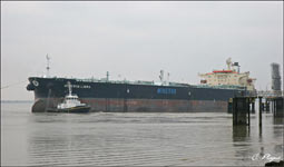 Minerva Libra