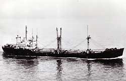 Djerada