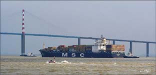 MSC PEGGY