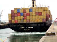 MSC LEVINA