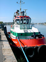 Balea