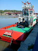 Balea