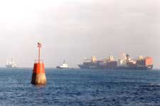 MSC ROSA M