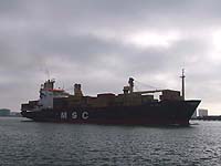 MSC AGATA