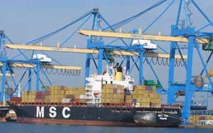 MSC Tina