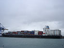 MAERSK DENTON