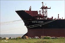 SCOTIA SPIRIT