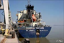 FEDERAL MATANE