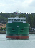 ARKLOW ROGUE