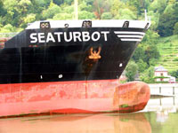 SEATURBOT