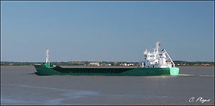 ARKLOW RAVEN