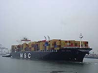 MSC HEIDI