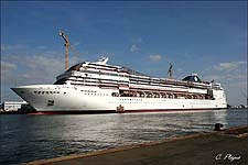 MSC POESIA