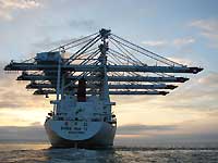 Zhen Hua 11