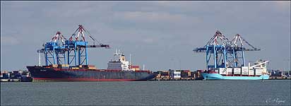 MSC RHONE & KENZA