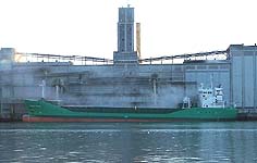 ARKLOW RAVEN