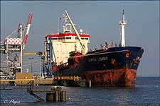 CLIPPER LEANDER