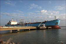 MAERSK RHINE