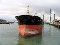 COS INTREPID