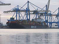 MSC INGRID