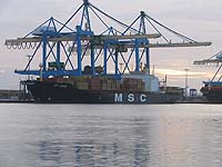 MSC JEANNE