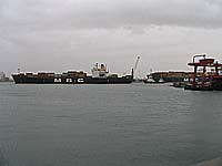 MSC JEANNE