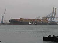MSC FLAMINIA