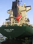 DELMAS JOLIBA