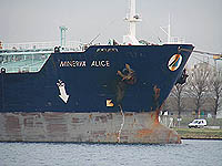 MINERVA ALICE
