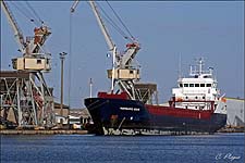HANSEATIC SCOUT