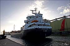 HANSEATIC SCOUT