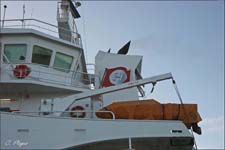 HANSEATIC SCOUT