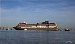 MSC FANTASIA