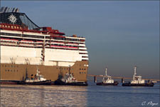 MSC FANTASIA