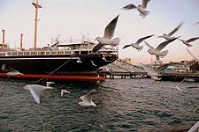 HIKAWA MARU