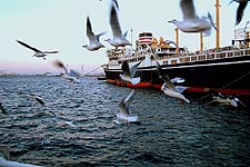 HIKAWA MARU