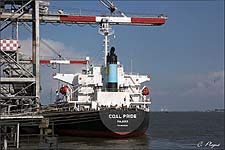 COAL PRIDE