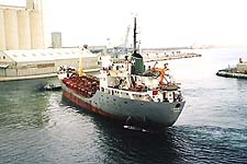 LEONE B